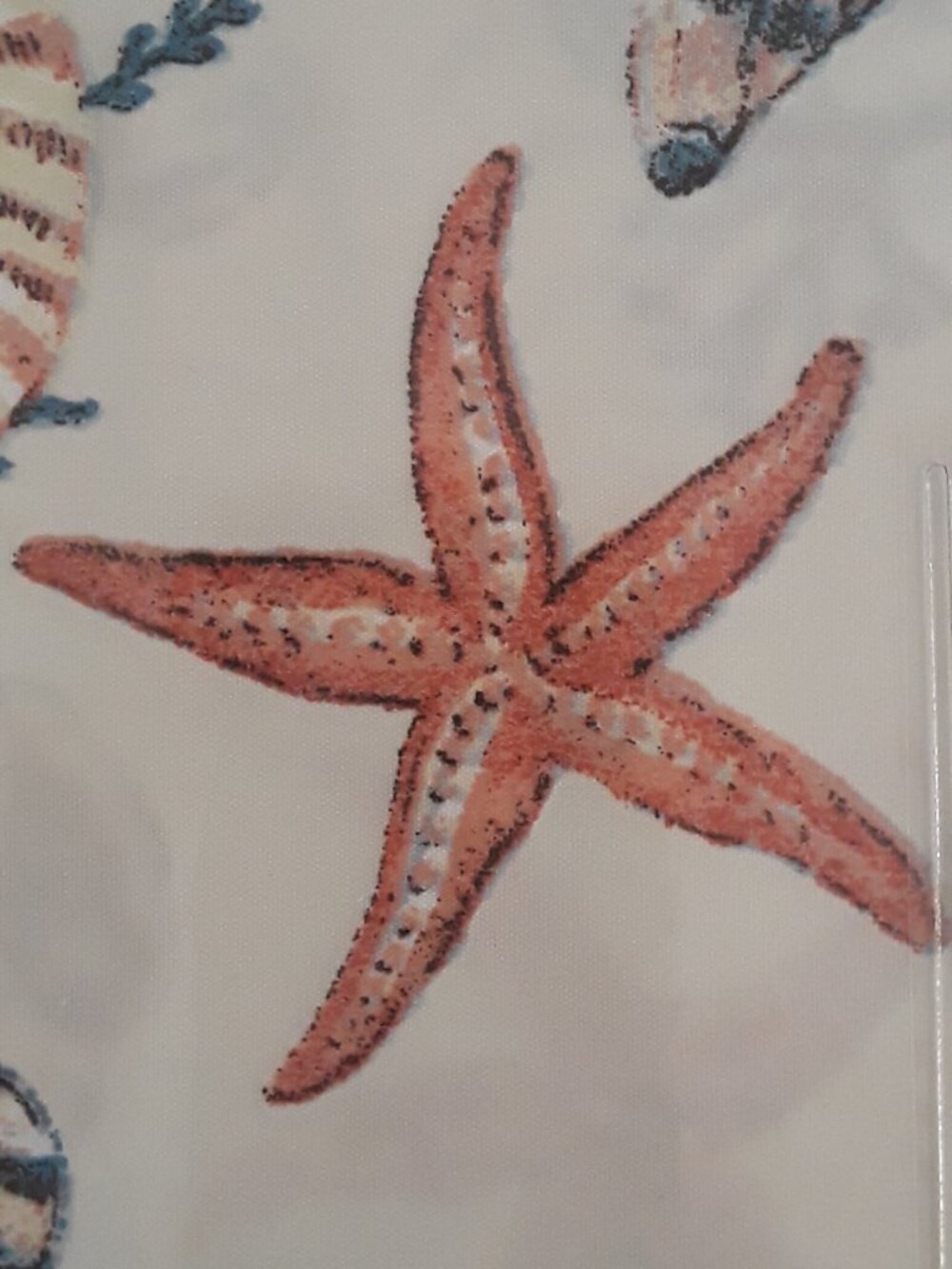 NWT Queen Sheets-Tranquil Tides Coastal Collection 4-piece set shells starfish - Picture 5 of 13
